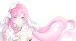  1girl breasts chinese_commentary commentary_request corset daizhuosansui diamond-shaped_pupils diamond_(shape) elf elysia_(herrscher_of_human:_ego)_(honkai_impact) elysia_(honkai_impact) gloves highres honkai_(series) honkai_impact_3rd large_breasts long_hair looking_at_viewer pink_hair pointy_ears purple_eyes reaching reaching_towards_viewer simple_background solo symbol-shaped_pupils triquetra upper_body veil very_long_hair white_background white_corset white_gloves white_veil 