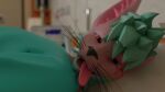16:9 andromorph aureliusgvh canid canine close-up fox hi_res hospital intersex looking_at_viewer male mammal open_mouth patient rexouium solo tongue tongue_out unconscious ventilator widescreen