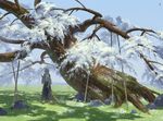  beard blue_sky broom cherry_blossoms dappled_sunlight day facial_hair grass hakama japanese_clothes konpaku_youki male_focus nature old old_man rock scenery seeker sky solo sunlight touhou tree 