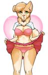  alpha_channel bra camel_toe canine clothed clothing dog female flashing looking_at_viewer mammal panties plain_background porin rika_(character) skimpy skirt solo transparent_background underwear 