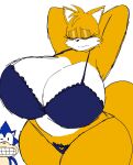 2024 anthro big_breasts biped blue_bra blue_clothing blue_panties blue_underwear bra breasts canid canine cleavage clenched_teeth clothed clothing crossgender curvy_figure digital_drawing_(artwork) digital_media_(artwork) duo eulipotyphlan eyelashes eyes_closed female female_focus fox fur glistening_eyelids hands_behind_head heart_clothing heart_cutout heart_panties heart_symbol heart_underwear hedgehog hi_res hourglass_figure huge_breasts huge_hips lingerie looking_at_another male mammal miles_prower momijizx mtf_crossgender panties portrait presenting raised_arms sega shy simple_background solo_focus sonic_the_hedgehog sonic_the_hedgehog_(series) standing tail teeth three-quarter_portrait three-quarter_view underwear underwear_only voluptuous white_background wide_hips yellow_body yellow_fur