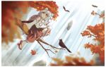  1girl animal_ears autumn_leaves ay606078 bird black_bird black_skirt blurry chinese_commentary closed_mouth commentary_request crow depth_of_field detached_sleeves flying geta grey_hair hat highres inubashiri_momiji leaf multicolored_skirt outdoors pom_pom_(clothes) red_eyes red_sandals red_skirt ribbon-trimmed_sleeves ribbon_trim sandals sheath shield shield_on_back sitting_on_branch skirt socks solo tail tengu-geta tokin_hat touhou water waterfall white_socks wolf_ears wolf_girl wolf_tail 