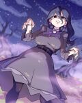  1girl bare_tree black_eyes black_hair breasts dress earrings fluffysukiart grey_dress hair_between_eyes hex_maniac_(pokemon) hex_maniac_(pokemon_legends:_z-a) jewelry large_breasts long_hair looking_at_viewer night night_sky pantyhose pokemon pokemon_legends:_z-a sky smile solo tree 