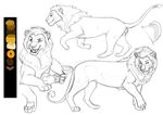  feline feral garra knon lion male mammal model_sheet solo 