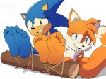 4:3 5_toes absurd_res barefoot bdsm bondage bound canid canine eulipotyphlan feet foot_fetish foot_focus fox hedgehog hi_res humanoid legs_tied male male/male mammal miles_prower nervous_smile runescrawler sega sonic_the_hedgehog sonic_the_hedgehog_(series) tickling toes