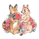  animal animal_couple animal_focus animalk closed_eyes commentary couple dog english_commentary flower heart highres holding holding_heart no_humans open_mouth original pawpads rearing red_flower red_rose rose serval shiba_inu simple_background smile spotted_fur white_background 