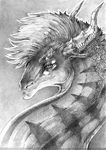  bubblewolf dragon furred_dragon greyscale horn male monochrome solo traditional_media 