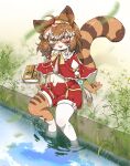 2024 accessory anthro biped book bottomwear brown_body brown_ear_tips brown_hair brown_highlights brown_markings canid canine chinese_description clothed clothing colored countershade_arms countershade_face countershade_hands countershade_neck countershade_torso countershading detailed dipstick_ears ear_markings eyewear female foot_in_water footwear fully_clothed glasses green_eyes hair hair_accessory hi_res high-angle_view highlights_(coloring) looking_at_viewer mammal markings midriff multicolored_ears multicolored_eyes open_mouth open_smile pink_eyes plant potatotanuki_(potatoximon) raccoon_dog shaded shorts sitting sitting_on_ground smile socks solo stripes tanuki two_tone_eyes white_highlights zhaoer