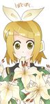  azya bad_id bad_pixiv_id blonde_hair flower hair_ornament hair_ribbon hairclip headphones kagamine_rin lily_(flower) ribbon short_hair solo vocaloid yellow_eyes 