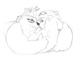  anthro armpits bear cuddling cute eyebrows eyeglasses eyewear feline gay kemono lion male mammal nipples pillow plain_background sketch stevenlew white_background 
