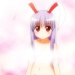  animal_ears bad_id bad_pixiv_id breasts bunny_ears censored collarbone convenient_censoring extra_ears long_hair looking_at_viewer mikomiko_(mikomikosu) navel nude out-of-frame_censoring purple_hair red_eyes reisen_udongein_inaba small_breasts solo steam steam_censor touhou 