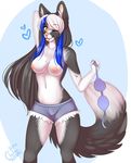  &lt;3 2014 anthro blue_hair blush bra breasts canine clothing cutoffs denim_shorts female grey_hair hair kitsunewaffles-chan long_hair looking_at_viewer mammal nipples one_eye_closed pink_nose shorts solo tongue tongue_out underwear white_hair wink yellow_eyes 