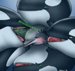 2025 absurd_res black_body blowhole blue_eyes blush burping burping_in_face cetacean dolorcin dolphin female feral green_eyes group group_hug hi_res hug hugging_another licking mammal marine oceanic_dolphin orca squish steven_(terrier19) tongue toothed_whale vore yellow_eyes