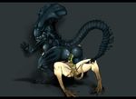  (franchise) alien anus big_breasts breasts butt facehugger pussy queen royalty tyrranaxh 
