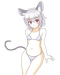  animal_ears bikini blush collarbone flat_chest grey_hair isaki_(gomi) mouse_ears mouse_tail navel nazrin pink_eyes simple_background solo swimsuit tail touhou white_background white_bikini 