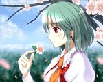  ascot bad_id bad_pixiv_id blue_sky cherry_blossoms cloud day green_hair highres kazami_yuuka open_clothes open_vest petals profile puffy_short_sleeves puffy_sleeves red_eyes shirt short_sleeves sky smile solo touhou tree upper_body vest wendell 