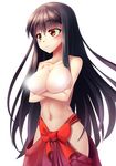  bad_id bad_pixiv_id black_hair blush breasts brown_eyes censored cleavage crossed_arms hakama japanese_clothes large_breasts long_hair m.u.g.e.n navel no_panties nontraditional_miko original red_hakama sendai_hakurei_no_miko solo topless touhou z.o.b 