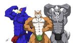  abs bodybuilder bulge falco_lombardi fox_mccloud muscles nintendo pecs pose star_fox video_games wolf_o&#039;donnell wolfoxokamichan 