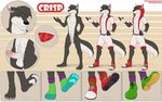  anthro balls canine clothing crisp_the_wolf erection flaccid green_eyes hindpaw male mammal model_sheet nude paws penis shoes shorts socks solo spelunker_sal underwear wolf 