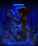  absurd_res alex_(madagascar) anal anal_penetration anthro balls bathing big_penis black_body black_fur blue_background blue_eyes bodily_fluids butt cum cum_in_ass cum_inside cum_on_penis cumshot dasoka digital_media_(artwork) dreamworks duo ejaculation english_text equid equine erection excessive_cum excessive_genital_fluids felid from_behind_position fur genital_fluids genitals glans glistening hair hi_res huge_filesize humanoid_genitalia humanoid_penis lion madagascar_(series) male male/male male_penetrated male_penetrating male_penetrating_male mammal marty_(madagascar) masturbation moan mood_lighting motion_lines multicolored_body multicolored_fur musk musk_cloud musky_balls musky_butt musky_penis nude open_mouth orange_body orange_fur orgasm pantherine penetration penile penis presenting presenting_hindquarters sauna sex shoulder_grab shower shower_sex showering side_view simple_background smile steam stripes tail text tile tongue wet wet_body wet_fur white_body white_fur yellow_body yellow_fur zebra 