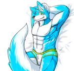  abs armpits canine male mammal muscles solo sum_kemono underwear 