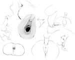  2014 anal anal_penetration anus big_anus disembodied_penis female gay humanoid_penis male penetration penis puffy_anus pussy sex sketch straight sunibee vaginal 