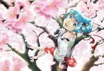  bag blue_eyes blue_hair blurry camera cherry_blossoms clog_sandals depth_of_field floral_print from_above fukuoka_asahi hair_ornament handbag in_tree looking_at_viewer open_mouth original petals sandals short_hair sitting sitting_in_tree solo tree 