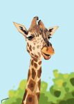  animal animal_focus blue_sky chinese_commentary chromatic_aberration commentary_request day fangpeii giraffe highres no_humans original outdoors signature sky 