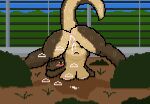 5up3rfr34k after_sex anthro anus aroused ass_up belly blush bodily_fluids breasts breasts_against_ground brown_body butt countershade_torso countershading cum cum_drip cum_in_vagina cum_inside cum_on_anus cum_puddle dinosaur dirt dripping electric_fence female genital_fluids genitals happy jack-o'_pose jurassic_park leaking_cum looking_back navel nipples nude plant pose prehistoric_species presenting presenting_anus presenting_hindquarters presenting_vulva reptile rexy_(jurassic_park) saurischian scalie shrub slightly_chubby solo sweat tail tan_belly theropod thick_thighs tyrannosaurid tyrannosauroid tyrannosaurus tyrannosaurus_rex universal_studios vulva yellow_sclera