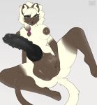2026 absurd_res accessory animal_genitalia animal_penis anthro areola balls barbed_canine_penis bedroom_eyes big_balls big_breasts big_penis biped black_claws black_penis black_tongue blep blue_eyes bodily_fluids breasts brown_areola brown_balls brown_body brown_ears brown_fur brown_nipples brown_nose brown_tail canine_genitalia canine_penis claws colored digital_media_(artwork) domestic_cat ear_piercing ear_stud erection eyelashes felid feline felis finger_claws front_view full-length_portrait fur genitals glistening glistening_balls glistening_genitalia glistening_penis gloves_(marking) grey_background gynomorph gynomorph_anthro hair hair_accessory hand_on_balls hi_res holding_balls huge_balls huge_penis humanoid_hands hybrid_genitalia hybrid_penis intersex intersex_anthro knot knotted_penis leg_markings looking_at_viewer mammal mane mane_hair markings multicolored_body multicolored_fur narrowed_eyes nipples nude nude_gynomorph penile_spines penis piercing portrait presenting presenting_balls presenting_penis pupils seductive sheath siamese signature simple_background sitting smile socks_(marking) solo spread_legs spreading sweat sweaty_balls sweaty_genitalia tail tongue tongue_out two_tone_body two_tone_fur vulpevex white_body white_fur white_hair white_inner_ear white_tail