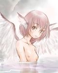  animal_ears blush breasts hi-yo highres looking_at_viewer mystia_lorelei nipples nude partially_submerged pink_eyes pink_hair short_hair sketch small_breasts smile solo touhou wings 