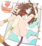  1girl ancient_egyptian_clothes animal_ear_fluff animal_ears anklet armlet armpits arms_up bare_shoulders barefoot blue_eyes book border bracelet breasts brown_egyptian_cat-eared_loli_(trend) brown_hair cat_ears cat_tail character_name commentary_request commission commissioner commissioner_upload feet floating floating_hair gold gold_necklace highres jewelry long_hair looking_at_viewer magical_girl medium_breasts mewry_(fuki_nyan) necklace non-web_source onihime_takun open_book original outside_border panties pantyshot partially_visible_vulva pelvic_curtain pussy pussy_peek skeb_commission smile solo tail tail_ornament tail_ring teeth underwear white_panties 