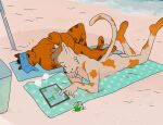  2026 anthro beach beverage black_nose casual_nudity clothing domestic_cat duo felid feline felis flappy_bird freckles fur fuzzy fuzzy_tail hat headgear headwear lying male male_anthro mammal nude on_back on_front orange_body orange_fur osmond_(p_rindustries) p_rindustries pompadour public public_nudity signature sleeping slightly_chubby slim smile snoring soda sun_hat tablet towel white_body white_fur wilt_(p_rindustries) 