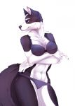  2019 5_fingers abs anthro black_fur black_nose blue_eyes bra breasts canid canine canis clothed clothing crossed_arms digital_media_(artwork) domestic_dog female fur kristiana_puff mammal midriff navel panties simple_background solo standing underwear white_background white_fur 