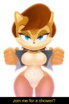 anthro auntymoira big_breasts black_border blue_clothing blue_eyes blue_topwear blue_vest blush border breasts brown_hair brown_nose butt butt_from_the_front cheek_tuft chipmunk clothing collar dialogue eyelashes facial_tuft featureless_breasts featureless_crotch female ground_squirrel hair hi_res looking_at_viewer mammal navel rodent sally_acorn sciurid sega short_hair simple_background smile solo sonic_the_hedgehog_(series) talking_to_viewer text thick_thighs topwear tuft vest white_background wide_hips