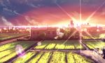  city cloud field highres landscape lens_flare no_humans original plant scenery sunset tree yan_(nicknikg) 