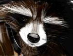  male mammal melo raccoon rocket_raccoon solo 