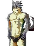  bulge canine dog kouya_aotsuki male mammal mayar morenatsu solo speedo swimsuit 