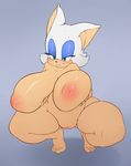  argento bat big_breasts blush breasts female mammal nipples nude puffy_nipples pussy rouge_the_bat sega shiny sonic_(series) sonicboom53 spread_legs spreading squats wide_hips 