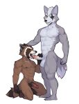 anthro anthro_on_anthro balls biped bodily_fluids brown_body brown_fur canid canine canis claws cum cum_from_mouth cum_in_mouth cum_inside cum_on_tongue duo erection feet finger_claws fingers fist fur genital_fluids genitals glans grey_body grey_fur guardians_of_the_galaxy hand_on_head hand_on_penis hi_res humanoid_feet humanoid_genitalia humanoid_hands humanoid_penis interspecies jrjresq kneeling kneeling_oral_position looking_at_another looking_down looking_up male male/male mammal marvel muscular muscular_anthro muscular_male nintendo nude_anthro nude_male open_mouth open_smile orange_eyes penis penis_on_tongue plantigrade procyonid raccoon red_eyes red_sclera rocket_raccoon sex side_view simple_background smile smirk smug standing star_fox tan_body tan_fur toes tongue white_background wolf wolf_o'donnell