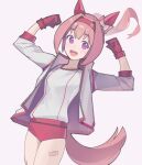  1girl animal_ears bandaid bandaid_on_leg bow buruma clenched_hands commentary cowboy_shot dismassd double_biceps_pose ear_bow ear_covers flexing gloves hair_intakes hairband haru_urara_(bestest_prize)_(umamusume) haru_urara_(umamusume) highres horse_ears horse_girl horse_tail jacket long_hair open_clothes open_jacket open_mouth ponytail purple_eyes simple_background smile solo tail umamusume untranslatable_commentary 
