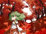  ascot blush forest green_hair kazami_yuuka kuropata nature plaid red_eyes short_hair smile solo touhou tree wind 