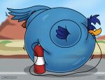 2024 air_ballooning air_inflation air_tank anthro avian avian_feet balloonedbird bird blue_body copyright_symbol cuculiform day feathers feet head_tuft hi_res hose hose_inflation immobile inflation looney_tunes male new_world_ground_cuckoo oral oral_penetration outside penetration road_runner_(looney_tunes) roadrunner shaded solo symbol tail tail_feathers toes translucent translucent_body tuft warner_brothers white_talons
