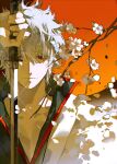  1boy absurdres branch chinese_commentary closed_mouth commentary_request expressionless falling_petals gintama glint grey_hair hair_between_eyes highres holding holding_sword holding_weapon huanjueji-phantom japanese_clothes kimono light_particles male_focus petals portrait red_eyes sakata_gintoki short_hair solo sword weapon white_kimono white_petals 