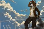 absurd_res anthro belly_tuft belt blue_eyes bomber_jacket bottomwear breasts brown_hair claws clothed clothing cloud countershading crotch_lines dipstick_ears ear_markings eye_patch eyewear facial_tuft female finger_claws fingers fluffy fluffy_tail fully_clothed fur grey_body grey_fur hair hi_res hip_tuft inner_boob inner_ear_fluff jacket leaning_on_railing leather leather_clothing leather_jacket leather_topwear mammal markings metal multicolored_ears navel navel_tuft oversized_bottomwear oversized_clothing pockets procyonid raccoon railing sky skyscape solo tail taiyokami topwear tuft white_body white_fur wind