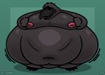 2025 3_toes 4_fingers anthro avian avian_feet balloonedbird beak belly big_belly bird black_beak black_body black_talons copyright_symbol corvid corvus_(genus) crow deep_navel feet fingers green_background head_tuft hi_res huge_belly hyper hyper_belly male moobs morbidly_obese morbidly_obese_anthro morbidly_obese_male navel nipples non-mammal_nipples obese obese_anthro obese_male open_beak open_mouth orange_eyes oscine overweight overweight_anthro overweight_male passerine pink_nipples pink_tongue shaded simple_background solo standing symbol toes tongue tuba_(balloonedbird) tuft wide_hips