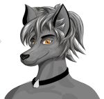 35fox anthro canid canine fan_character female jewelry mammal necklace portrait solo unfinished