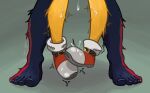 2026 anal anal_penetration barefoot bodily_fluids canid canine clothing cum enlisentity epic_poggers_amongus eulipotyphlan feet foot_focus footwear fox genital_fluids hedgehog humanoid_feet leg_cropped_sex male male/male mammal miles_prower penetration plantigrade sega shadow_the_hedgehog shoes sonic_the_hedgehog_(series)