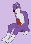  2014 animal_genetalia animal_genitalia brown_eyes canine canine_penis cum erection fox fur mammal penis purple_fur tasting tongue tongue_out whute_fur 