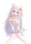  1girl :o animal_ear_fluff animal_ears arms_between_legs bare_arms bare_legs bare_shoulders bell breasts buttons capuchi_(111cappuccino) choker collarbone commentary_request commission dress feet_out_of_frame hair_bell hair_ornament head_tilt heart heart_o-ring heart_ring_choker highres jingle_bell knees_together_feet_apart light_blush long_sidelocks looking_at_viewer o-ring o-ring_choker one_side_up open_mouth original pleated_dress red_choker red_eyes short_dress sidelocks simple_background sitting sleeveless sleeveless_dress small_breasts solo spaghetti_strap strap_slip sundress tail v-shaped_eyebrows white_background white_dress white_hair 